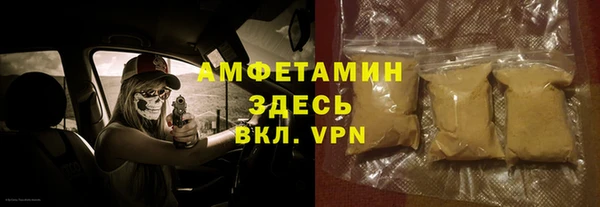 спиды Вяземский