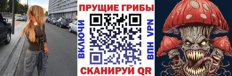 сайты даркнета состав  наркошоп  Верхний Тагил  Галлюциногенные грибы GOLDEN TEACHER 